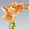 Valerian Ring
