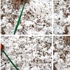 Line Finding