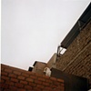 In between rooftop