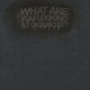 Untitled (What Are You Looking at DickNose)