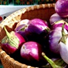 Violet Eggplant in a Basket