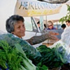 The Organic Produce Gal 