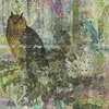 "Owls"