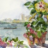 My Hibiscus/Hudson River