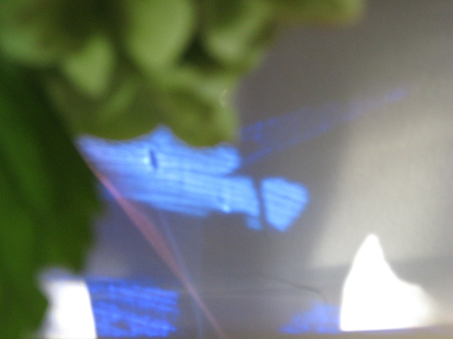 blue.1