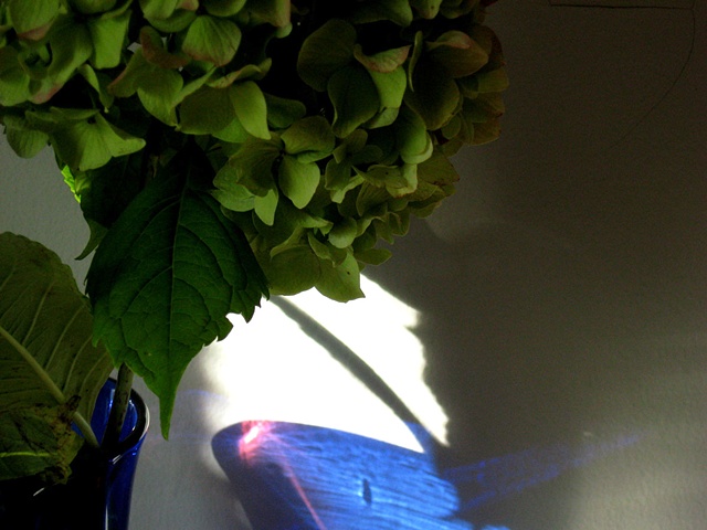 blue.13