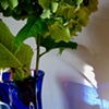 blue.16