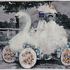 swan float