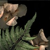 #191