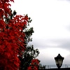 Sky #46