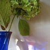 blue.6