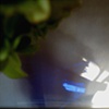 blue.17
