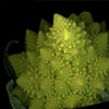 #155