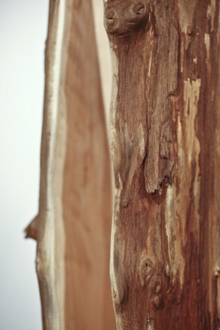 Doubt(ing) detail 8