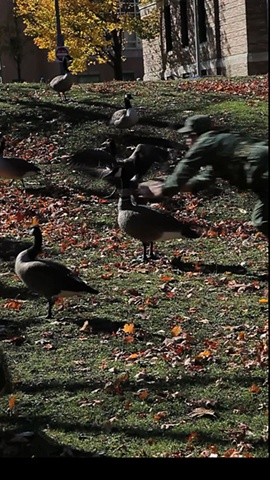 Still Video Image of Left Monitor