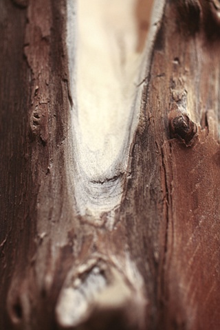 Doubt(ing) detail 6