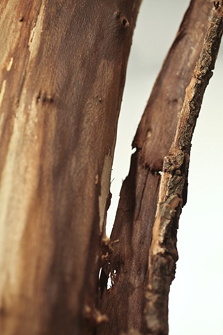 Doubt(ing) detail 7