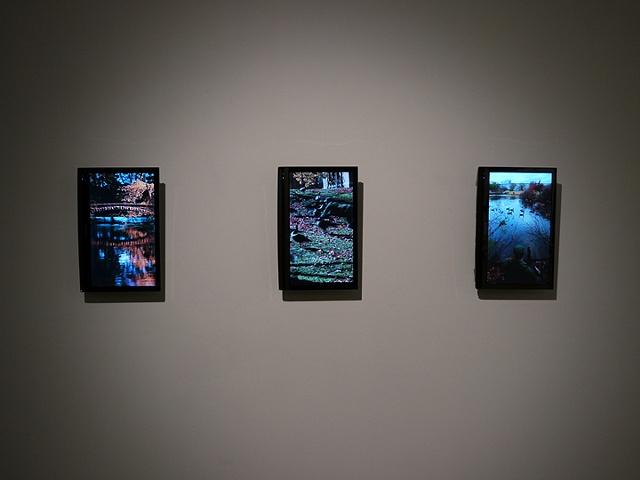 Installation View of Video Triptych