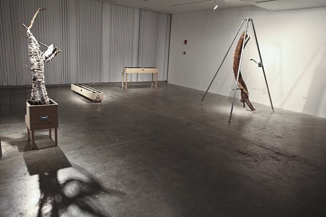 exhibition photos