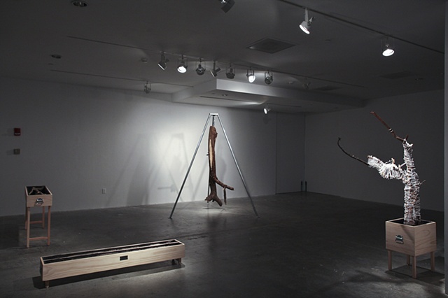 exhibition photos