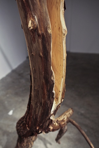 Doubt(ing) detail 5