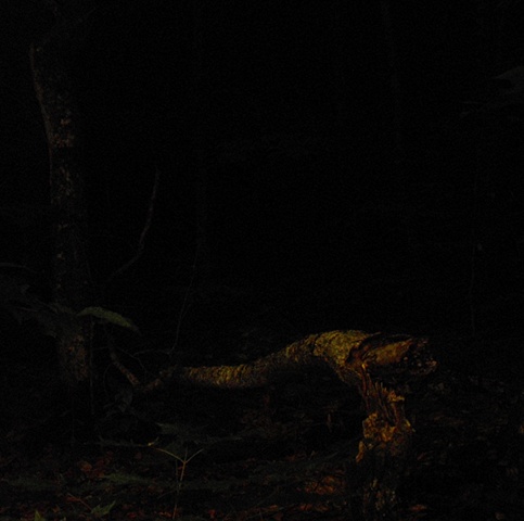 Steppenwolf Documentation