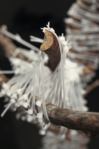 Lot 2, Sample 002 (detail)