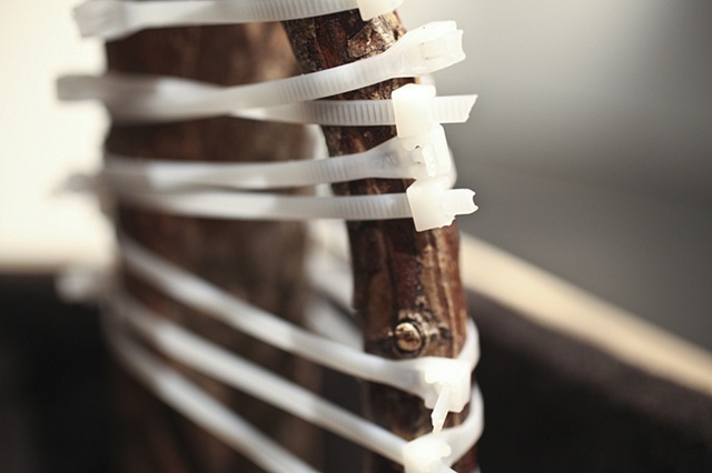 Lot 2, Sample 002 (detail)