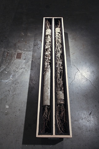 Lot 2, Sample 001 (detail)