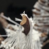 Lot 2, Sample 002 (detail)