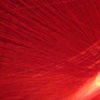 The Aesthetics of Secret (detail 3)