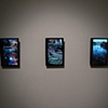 Installation View of Video Triptych