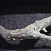 Lot 2, Sample 003 (detail)