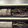 Lot 2, Sample 001 (detail)