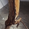 Doubt(ing) detail 5