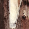 Doubt(ing) detail 6