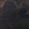 Three Trees (Summer)