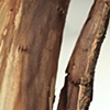 Doubt(ing) detail 7