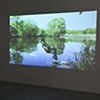 Afar lies the world (installation view)