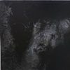 Limb