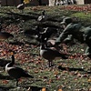 Still Video Image of Left Monitor