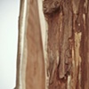 Doubt(ing) detail 8