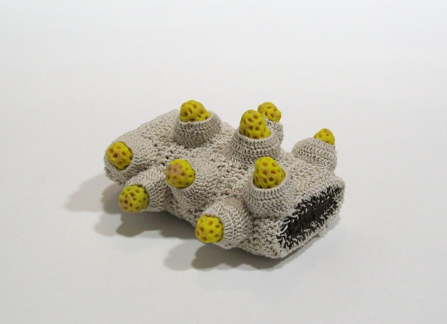 Untitled (roll)