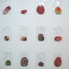 Scabs (detail)