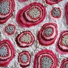 flesh spot (detail)