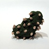 Untitled (green)