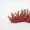 Untitled (spleen)