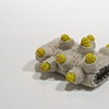 Untitled (roll)