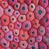 Pelt (detail)