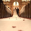 Weddings